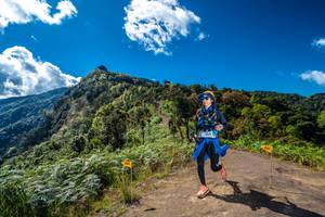 BIB: 
                            <button type="button" onclick="openModal(19039132)" class="btn btn-primary btn-sm float-right btn-popup" data-toggle="modal" data-target=".modal-high-quality">
                        <i class="fas fa-shopping-cart"></i> Add to Cart
                    </button>
                                            <button type="button" onclick="isThisMe(19039132, true)" class="btn btn-success btn-sm float-right btn-popup btn-isme hidden" data-toggle="tooltip" data-placement="bottom" title="นี่คือรูปของคุณใช่ไหม คลิกที่นี่เพื่อเอาเข้าอัลบั้ม">
                        <i class="fas fa-plus"></i> Add to album
                    </button>
                    <button type="button" onclick="isThisMe(19039132, false)" class="btn btn-warning btn-sm float-right btn-popup btn-isnotme hidden">
                        <i class="fas fa-ban"></i> Remove from album
                    </button>